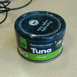 Tuna in Oil (Canned)