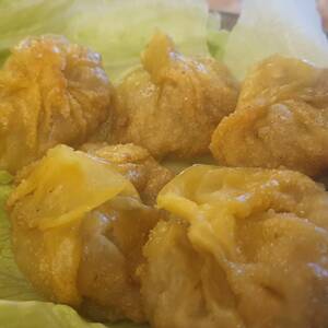 Fried Wontons