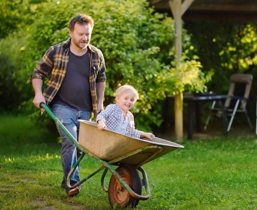 father taking child for ride in wheelbarrow