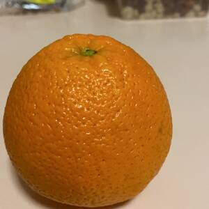 Oranges