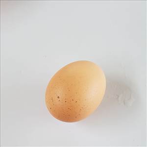 Egg (Whole)