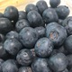 Blueberries