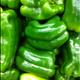 Green Peppers