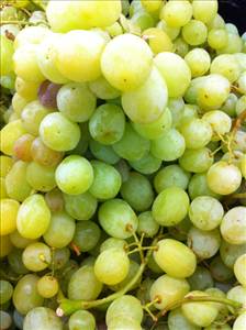 Grapes