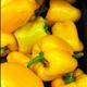 Yellow Sweet Peppers