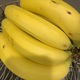 Bananas