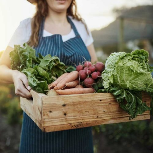 Everything you need to know about organic food