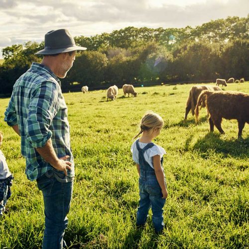 Better farms fight climate change more than plant-based diet alone