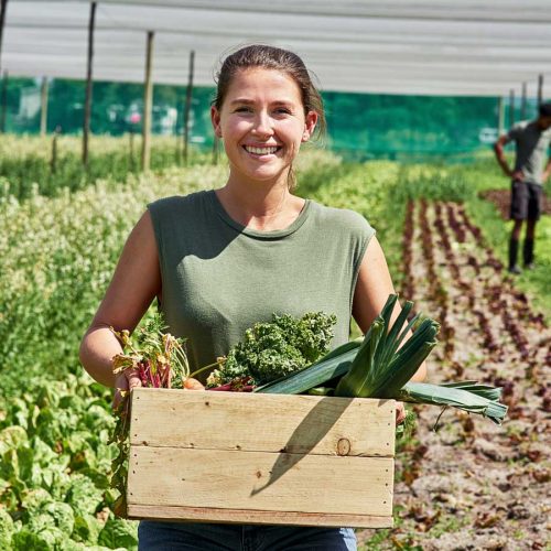 A global plant-based diet may put a pause on climate change