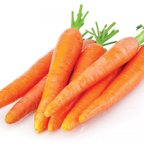 The lost plot: Growing carrots